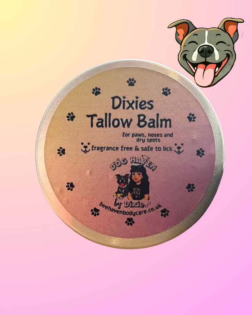 Dixie's Tallow Balm - Paw & Nose Balm (40g)