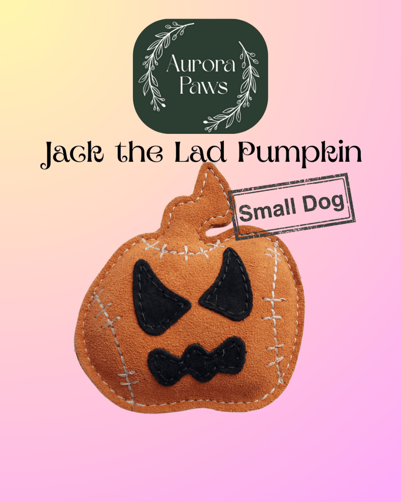 Jack the Lad SMALL BREED Eco Dog Toy from Aurora Paws - Bee Haven Bodycare & Gifts