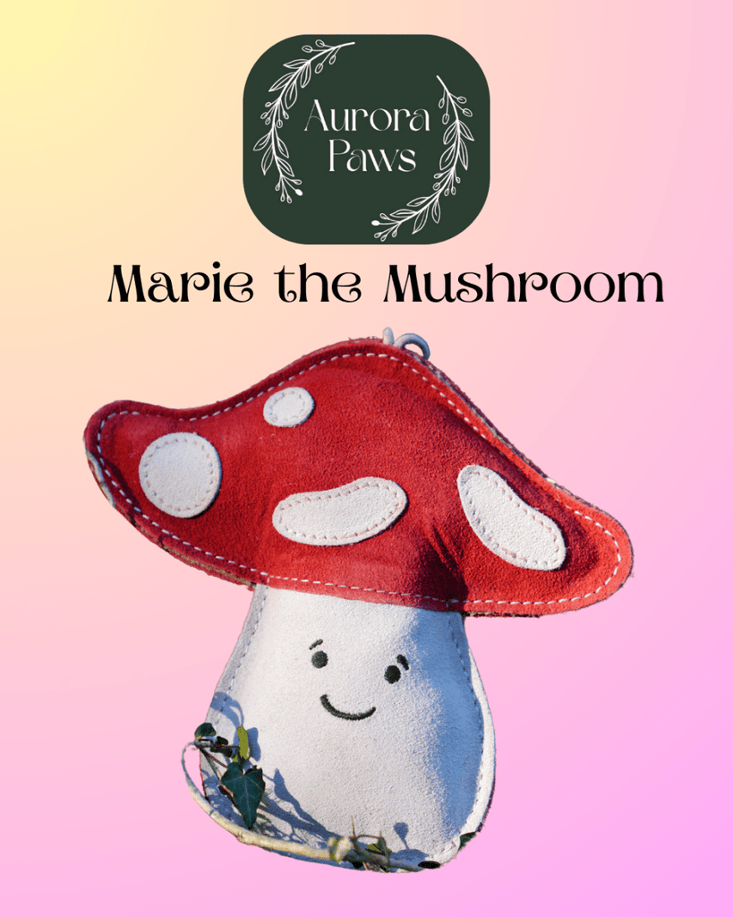 Marie the Mushroom Eco Dog Toy from Aurora Paws - Bee Haven Bodycare & Gifts