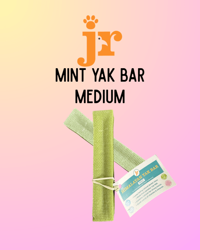 Mint Himalayan Yak Bar - Medium from JR Pet Products - Bee Haven Bodycare & Gifts