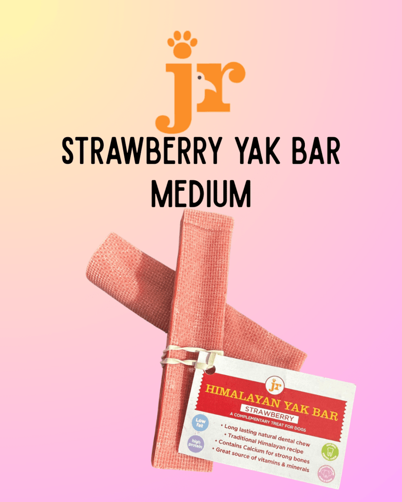 Strawberry Himalayan Yak Bar - Medium from JR Pet Products - Bee Haven Bodycare & Gifts